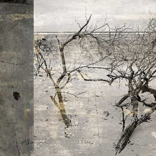 Dead trees van Thierry Boitier, Fotografie te koop op Singulart