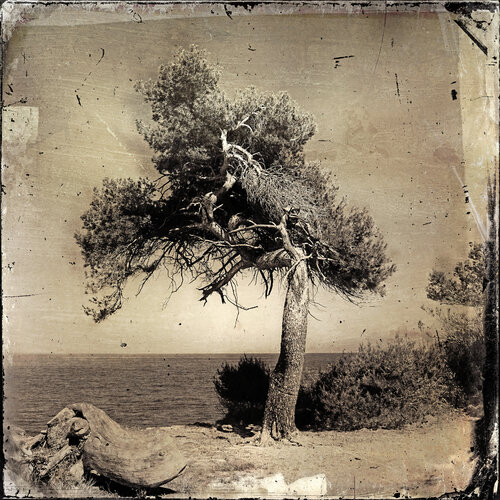 Lérins de Thierry Boitier, Fotografía a la venta en Singulart