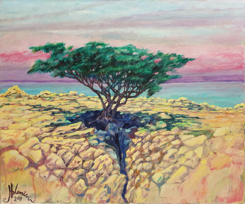 Tree Near The Dead Sea von Shlomit Aharonovitch, Malerei kaufen auf Singulart