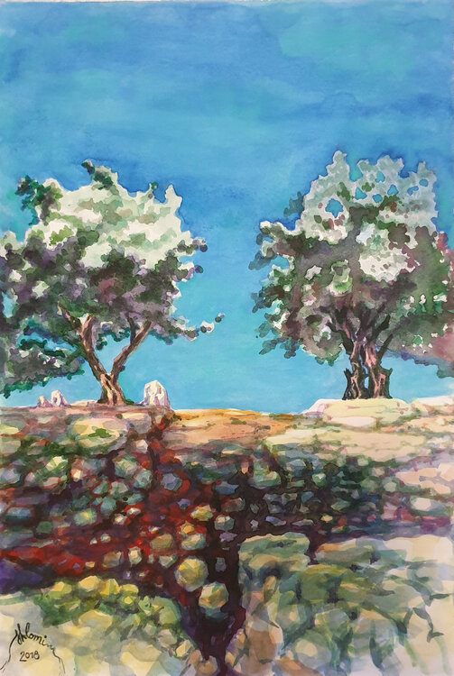 Two Olive Trees Shlomit Aharonovitch