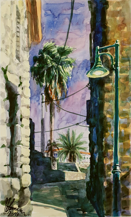 Jerusalem in the Winter Shlomit Aharonovitch