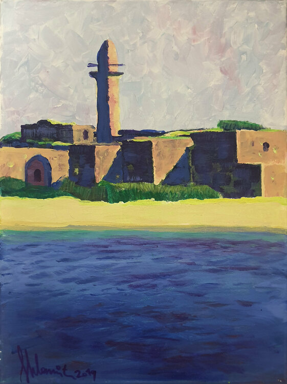 Akko Shlomit Aharonovitch