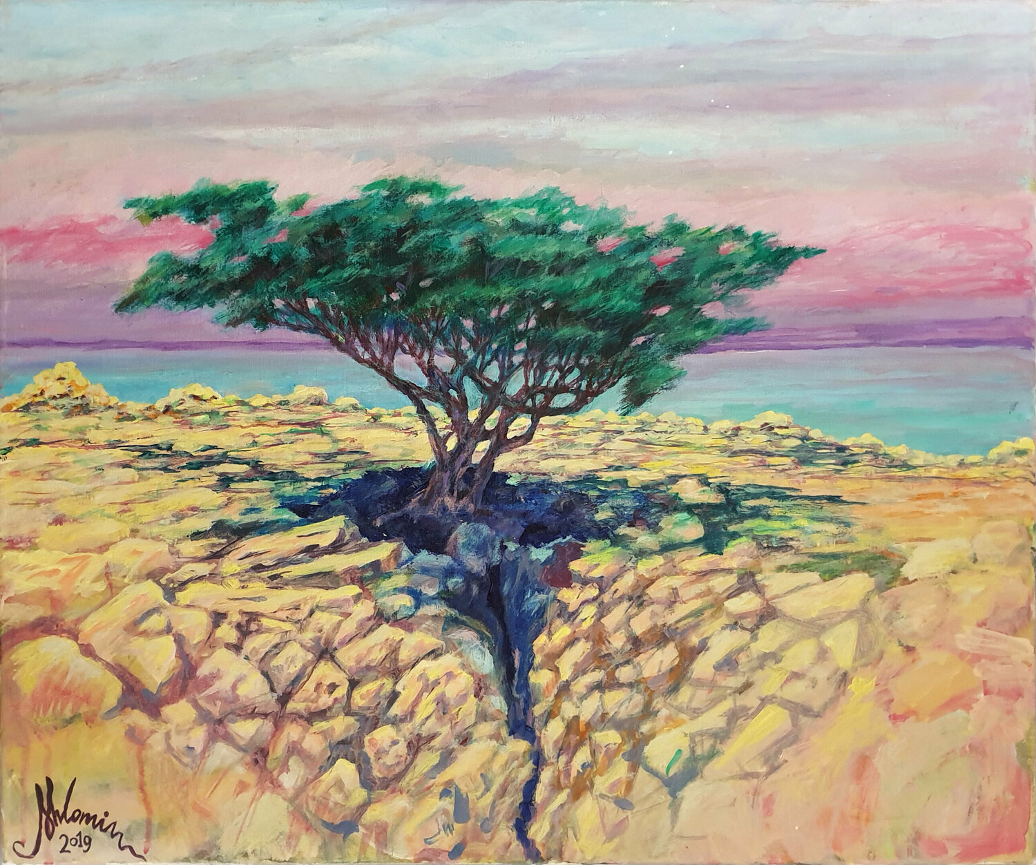 Tree Near The Dead Sea Shlomit Aharonovitch