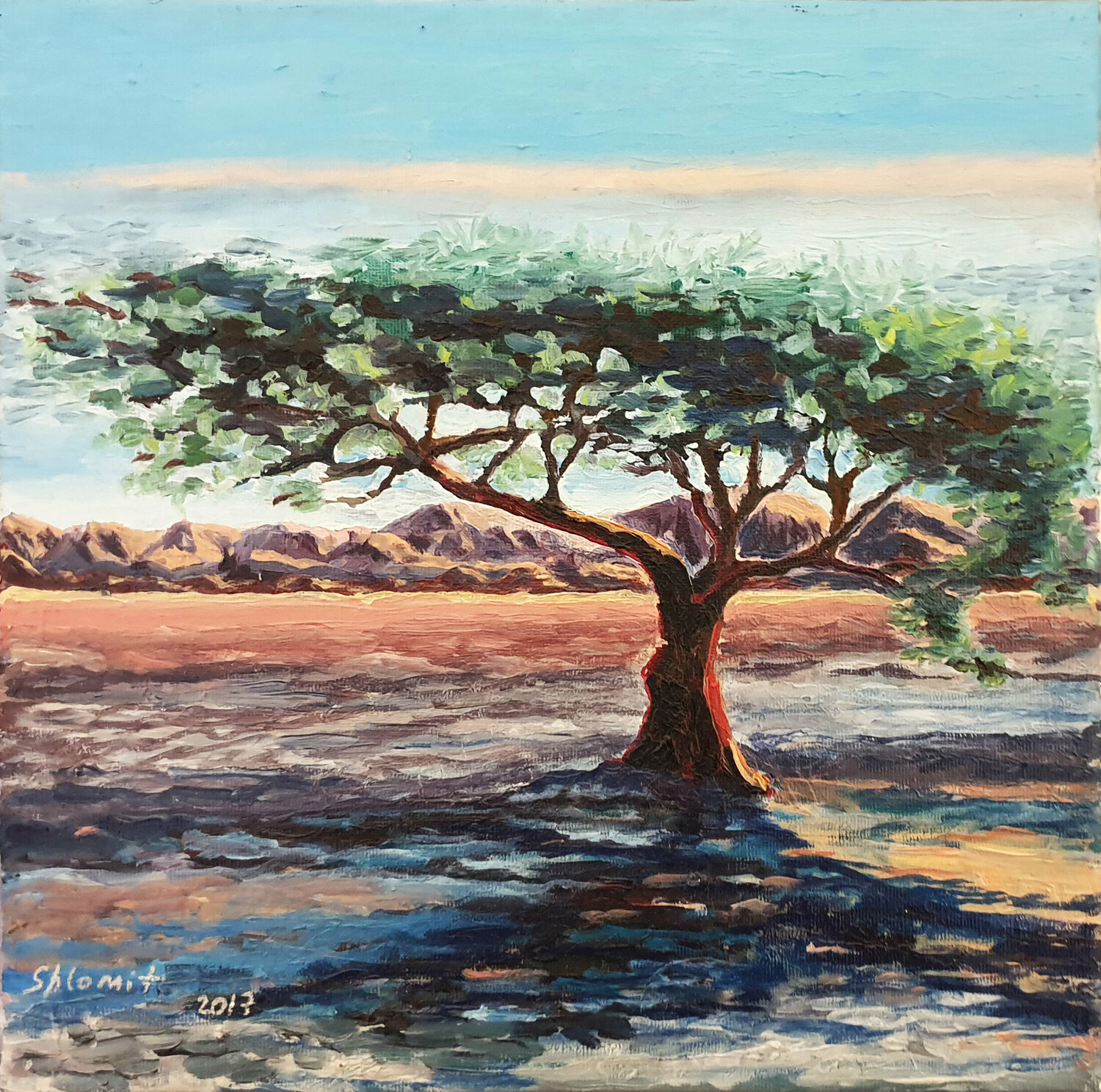 Judean Desert Shlomit Aharonovitch
