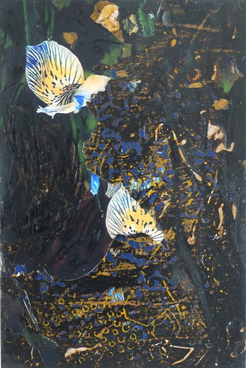 A Fleur de Peau II Vincent Verdeguer