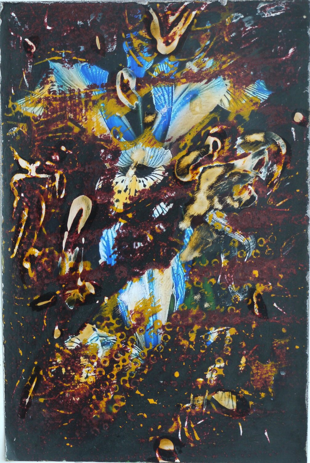 A Fleur de Peau I Vincent Verdeguer