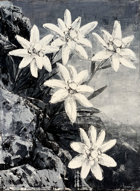 Edelweiss Elena Ivaniuk