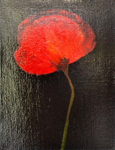 "Poppy in Chiaroscuro 2" di Sophie Duplain, Pittura in vendita su Singulart