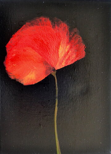"Poppy in Chiaroscuro 3" di Sophie Duplain, Pittura in vendita su Singulart