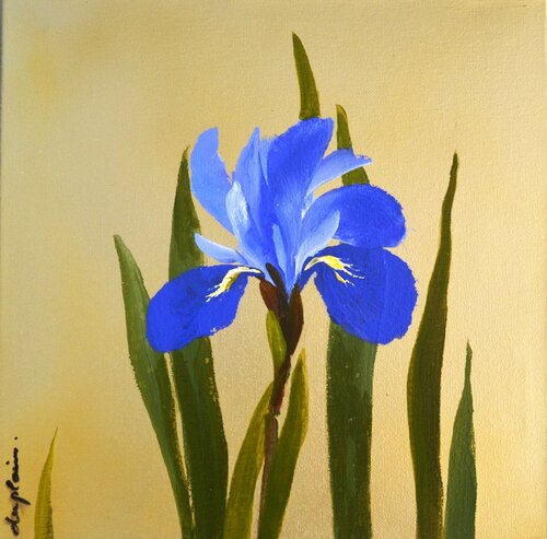 "Iris 1" by Sophie Duplain, Painting for Sale on Singulart