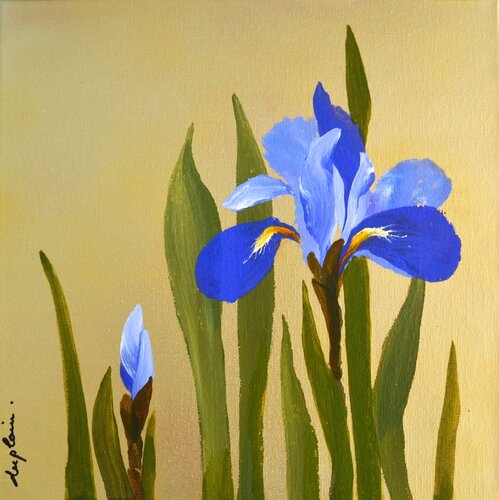 "Iris 2" by Sophie Duplain, Painting for Sale on Singulart