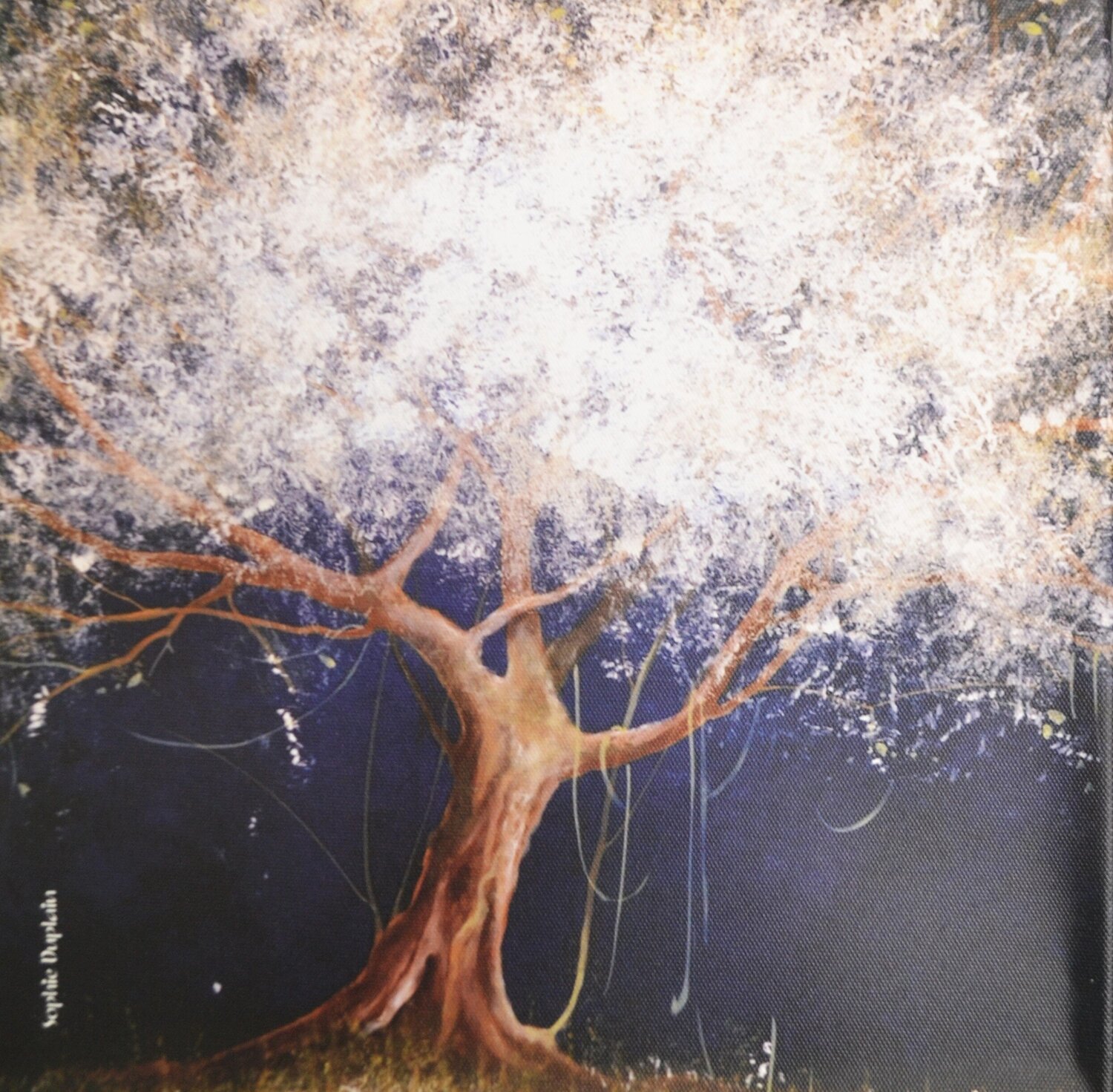 "L'Eclaireur 1P" Sophie Duplain