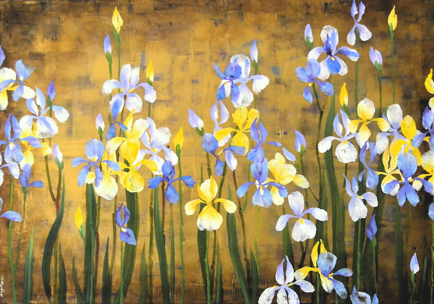 "Les Iris" Sophie Duplain
