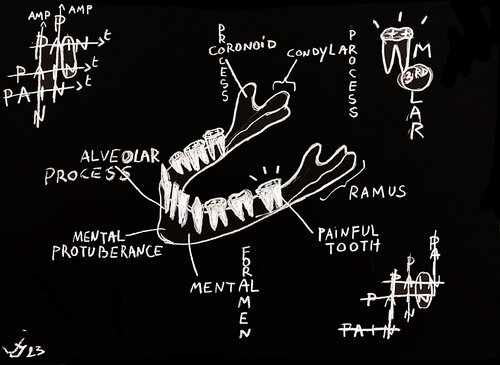 Jaw bone 01 by Julien Hayot, 소묘 for Sale on Singulart