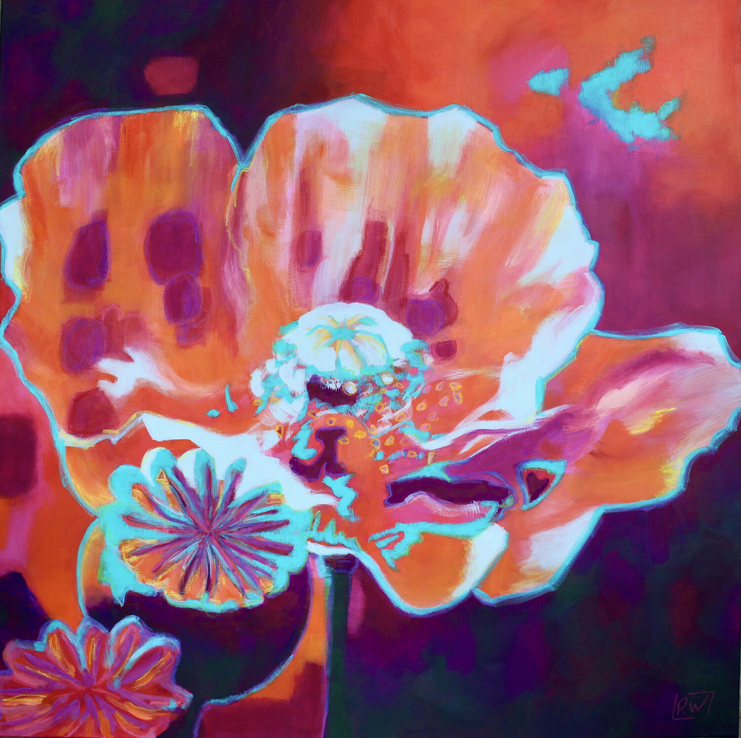 Orange Poppy Pascale White