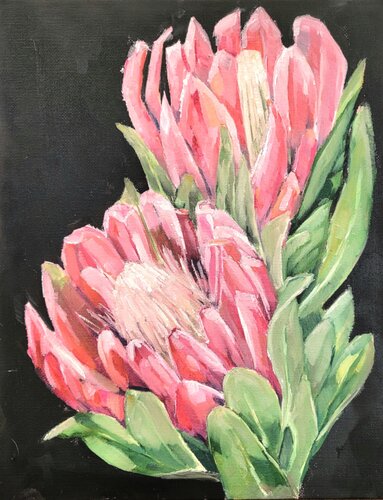 Protea Stillleben de Diana Krinninger, Pintura a la venta en Singulart