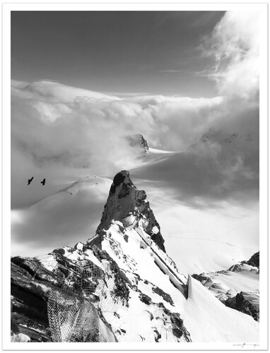 Fly II von Xiaoyang Galas, Fotografie kaufen auf Singulart