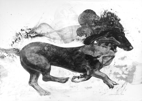 Dachshund di Lana Korolievskaia, Disegno in vendita su Singulart