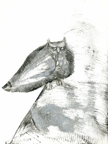Owl van Lana Korolievskaia, Afdruk te koop op Singulart