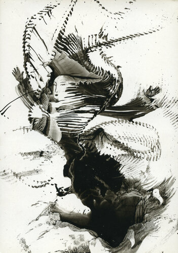 Soaring chinese woman von Lana Korolievskaia, Druck kaufen auf Singulart