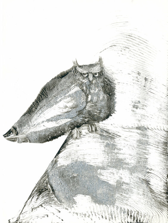 Owl Lana Korolievskaia