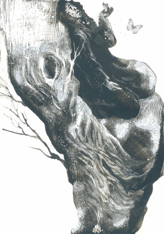 Monk And Butterflies Lana Korolievskaia