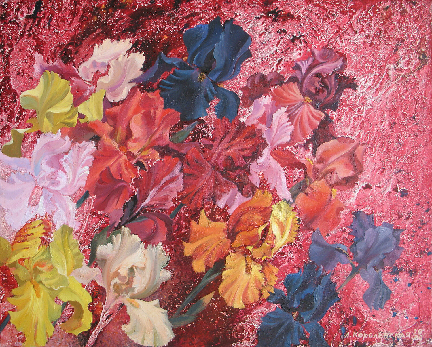 Irises Lana Korolievskaia