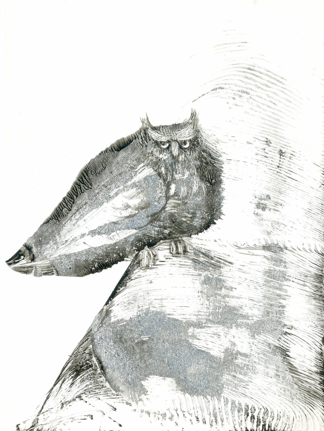 Owl Lana Korolievskaia