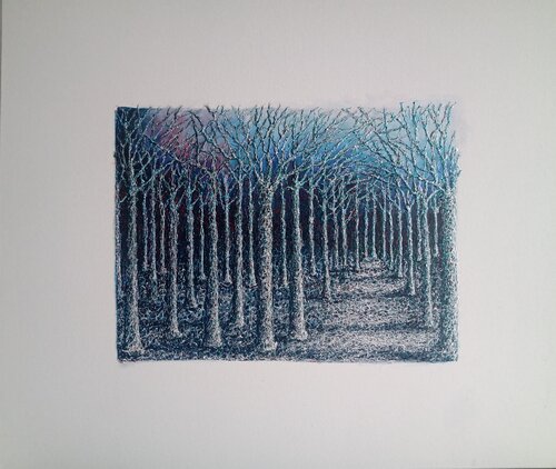 BOSCO GRIGIO Antonio Presti