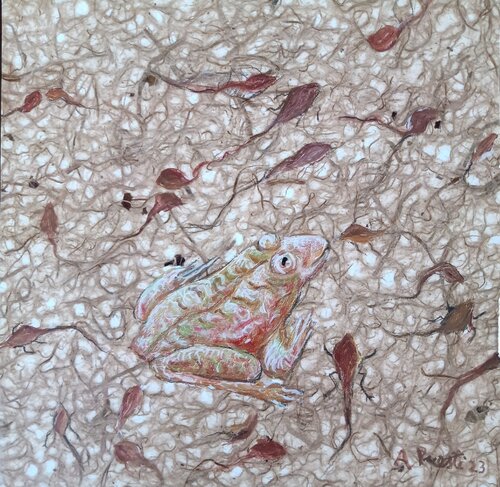 Frog and tadpoles van Antonio Presti, Schilderij te koop op Singulart