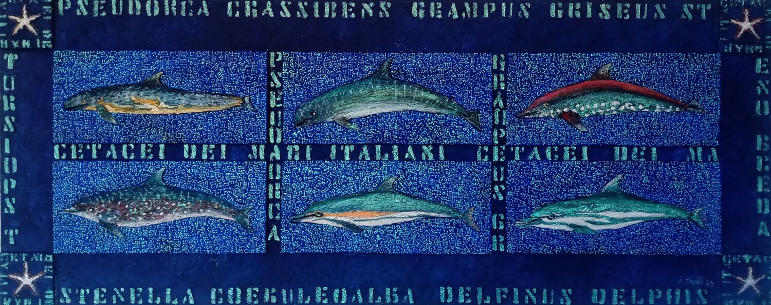 Cetacei Antonio Presti