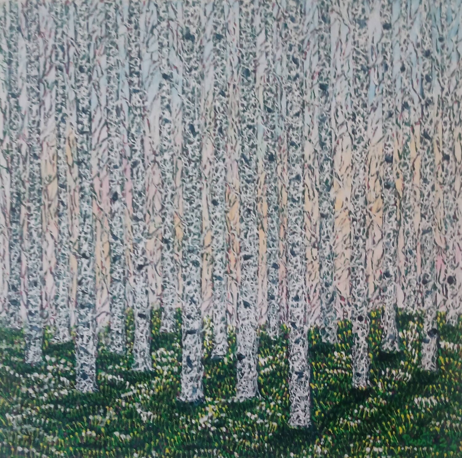 Betulle bianche Antonio Presti