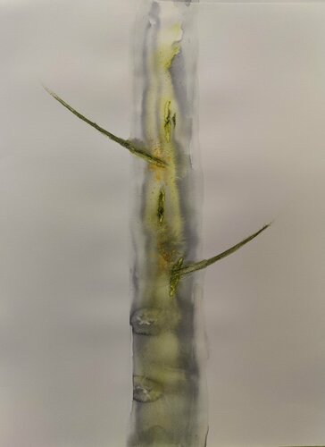 Tree No I di Krister Björklund, Opera su carta in vendita su Singulart