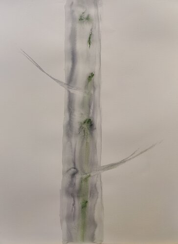 Tree No II di Krister Björklund, Opera su carta in vendita su Singulart