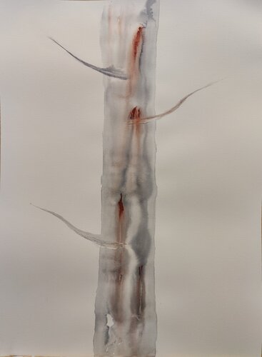 Tree No III di Krister Björklund, Opera su carta in vendita su Singulart