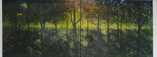 Summer in the woods Krister Björklund