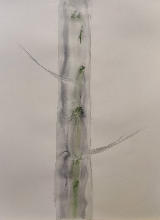 Tree No II Krister Björklund