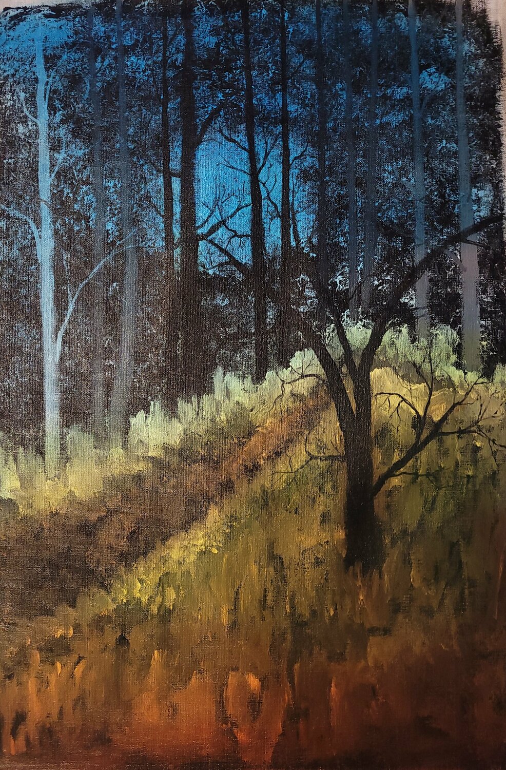 Forest hill Krister Björklund