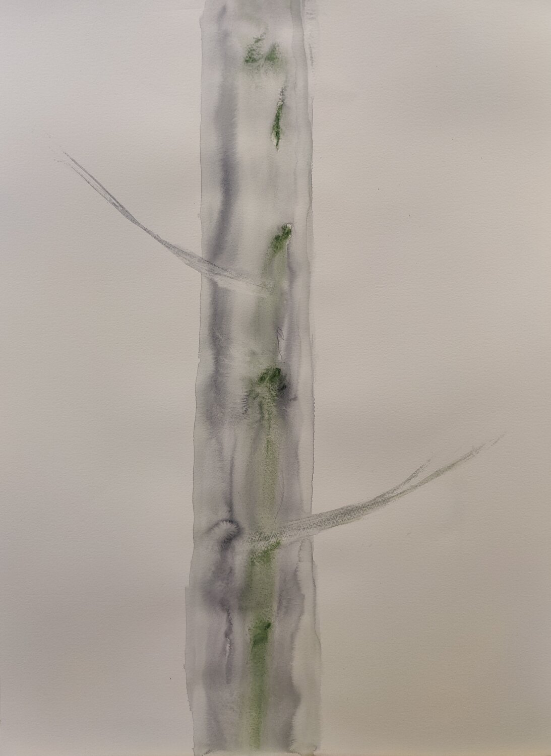 Tree No II Krister Björklund
