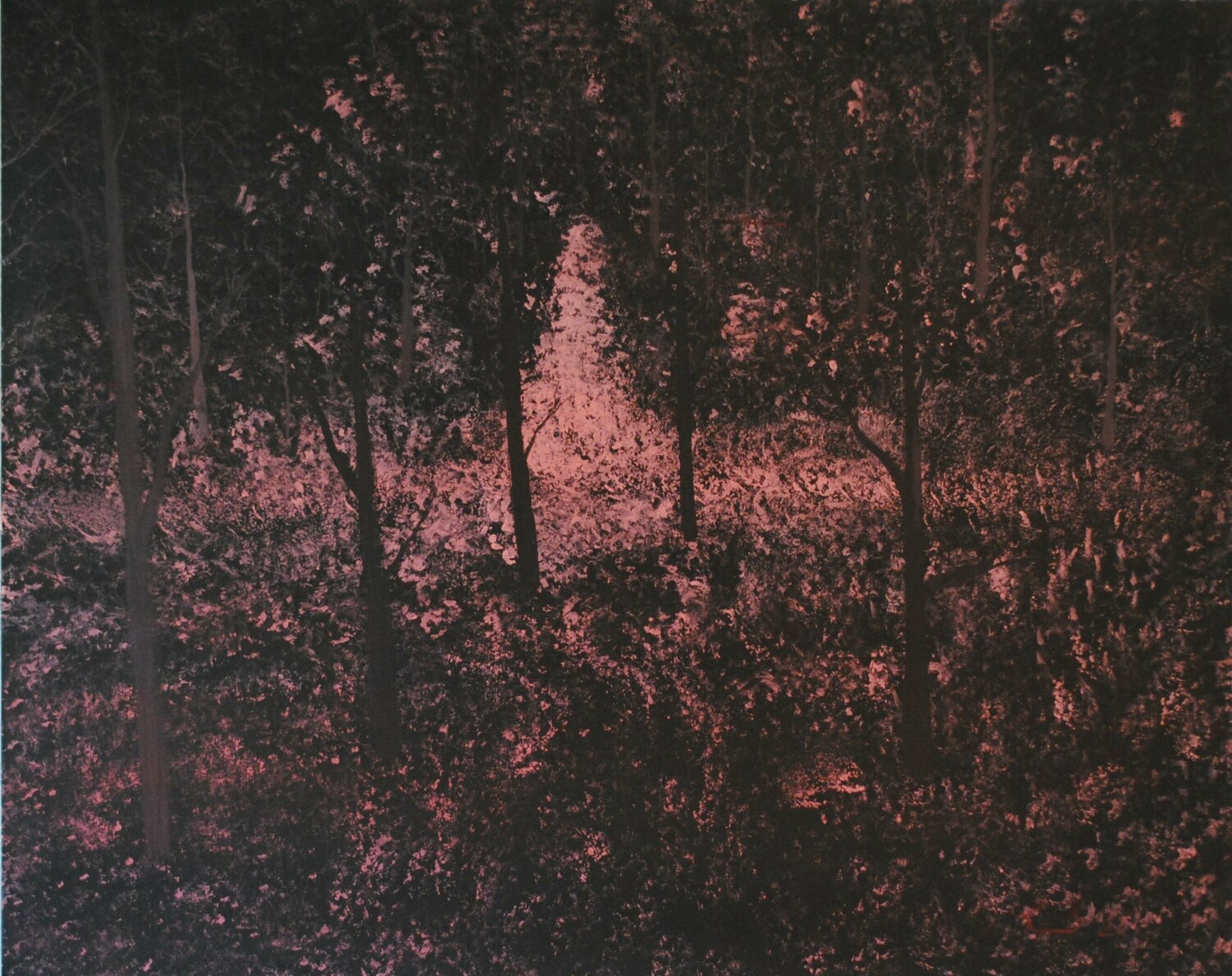 Scarlet summertime Krister Björklund