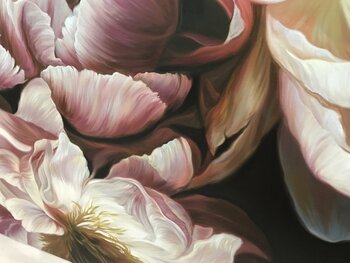 Peonies on the dark background Elena Podmarkova