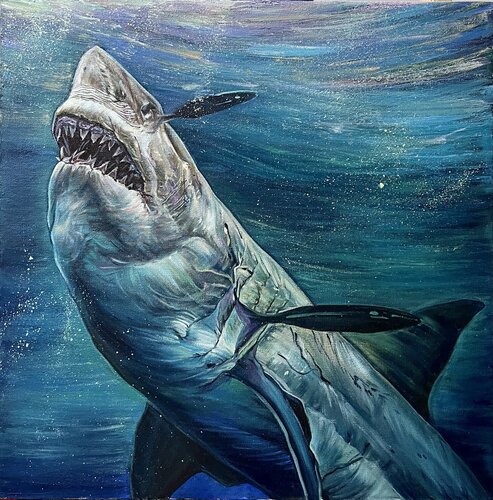Shark van Elena Podmarkova, Schilderij te koop op Singulart
