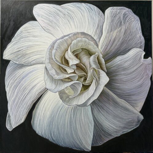 White flower on dark background van Elena Podmarkova, Schilderij te koop op Singulart