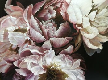 Peonies on the dark background Elena Podmarkova