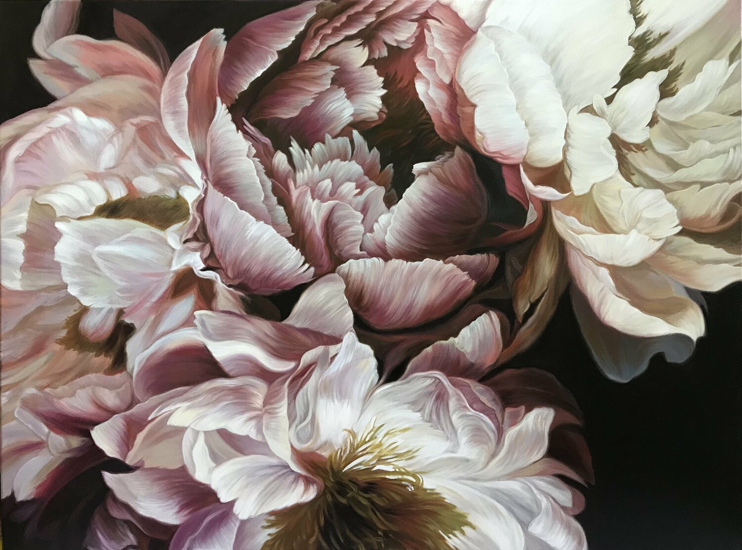 Peonies on the dark background Elena Podmarkova