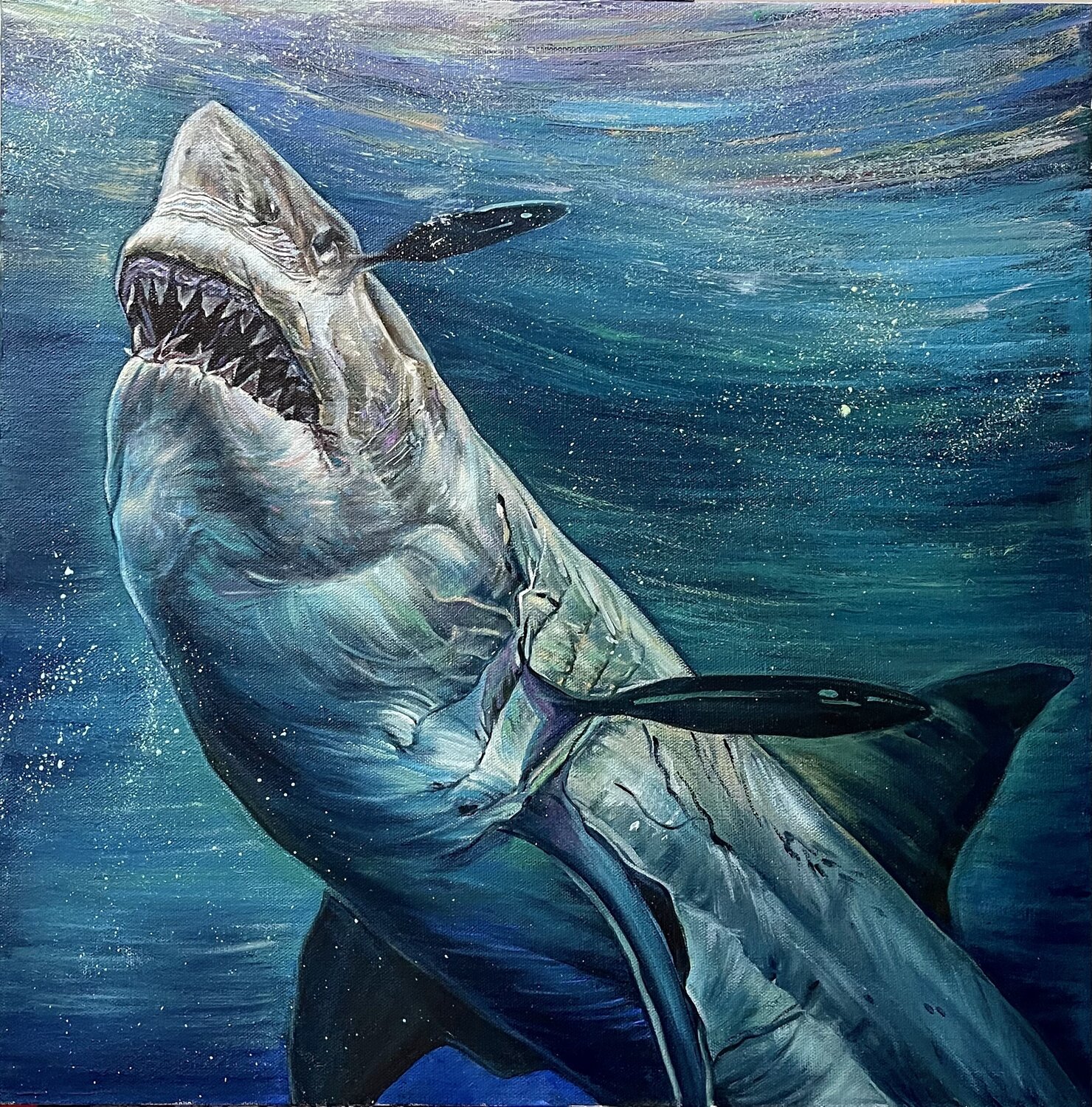 Shark Elena Podmarkova