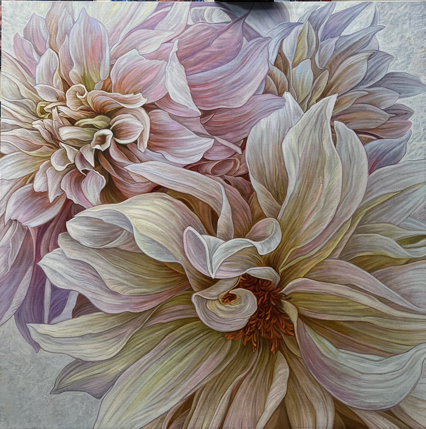 Dahlias Elena Podmarkova