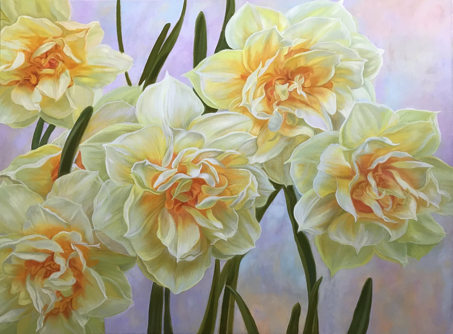 Yellow daffodils Elena Podmarkova