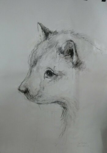 retratos ilustres n º 33 by juan angel saiz manrique, Work on Paper for Sale on Singulart