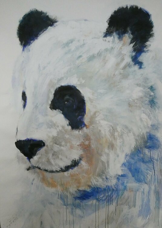 retratos ilustres nº23 juan angel saiz manrique